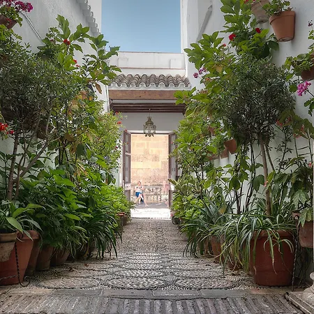Patios *