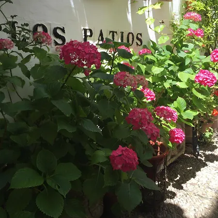 Hotel Patios Córdoba