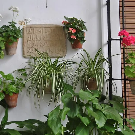 Patios Hotel *