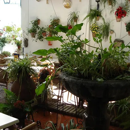 Hotel Patios *