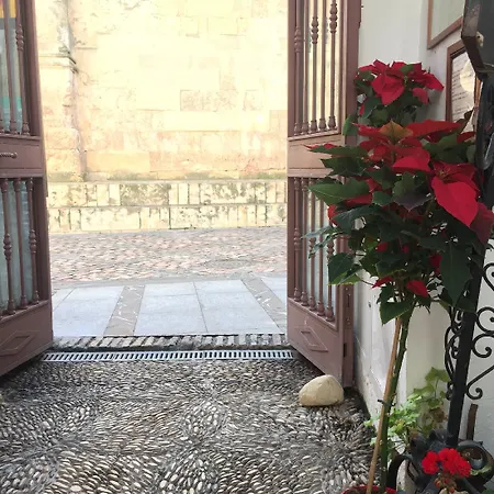 Patios Córdoba
