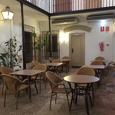 파티오스 코르도바