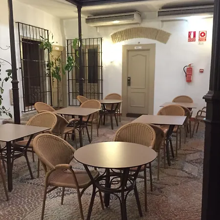 파티오스 호텔 *