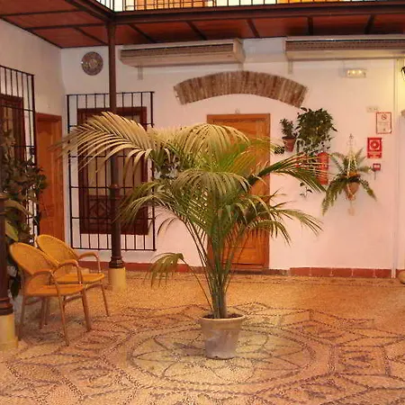 호텔 파티오스 *