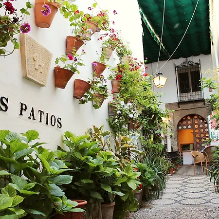 Patios Кордова