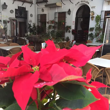 Patios Кордова