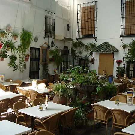 Отель Patios *
